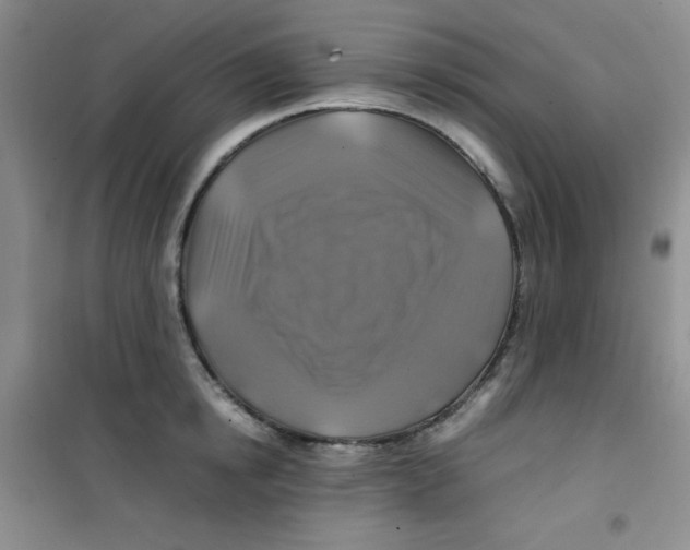 X0000100950854200807221119