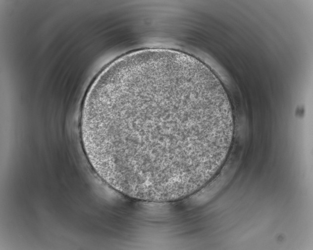 X0000100950856200807221119