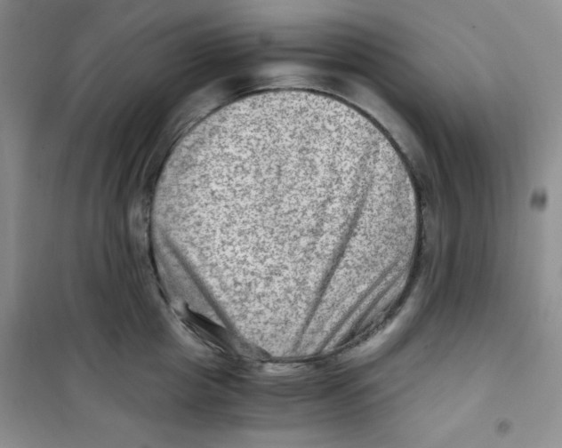 X0000100950857200807221119