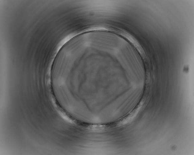 X0000100950858200807221119