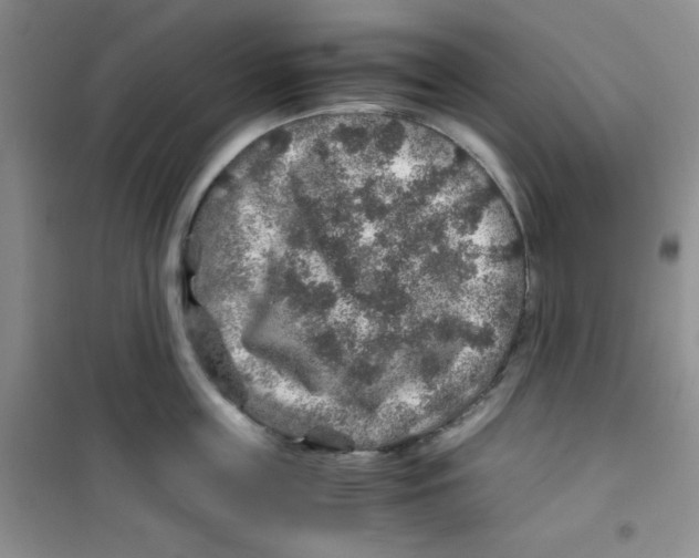 X0000100950859200807221119