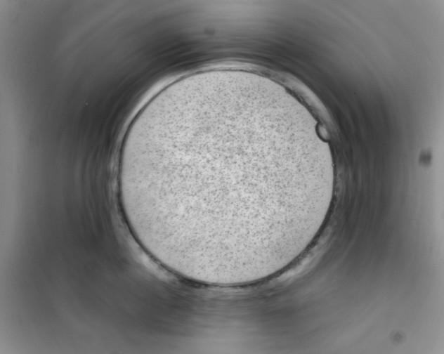 X0000100950860200807221119