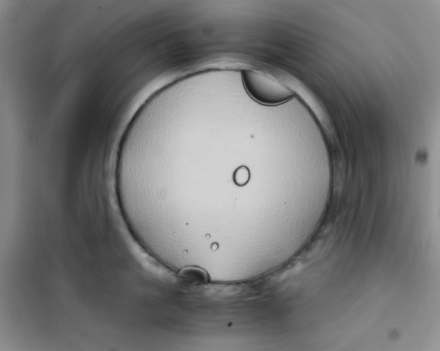 X0000100950861200807221119