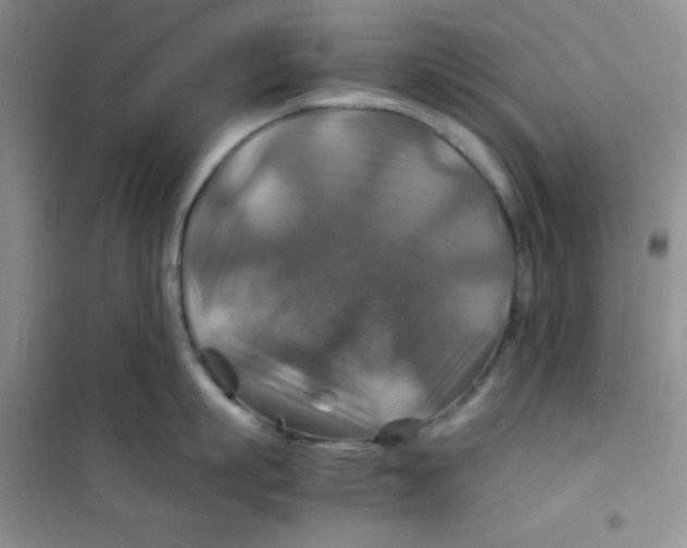 X0000100950863200807221119