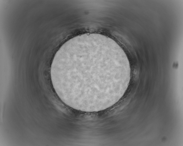 X0000100950865200807221119