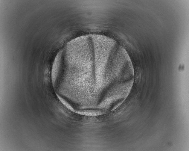 X0000100950866200807221118