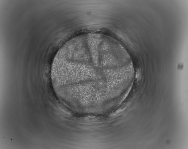 X0000100950867200807221118