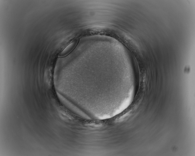 X0000100950868200807221118