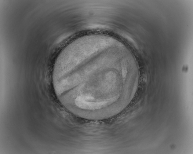 X0000100950869200807221118