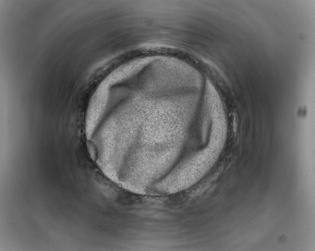 X0000100950870200807221118