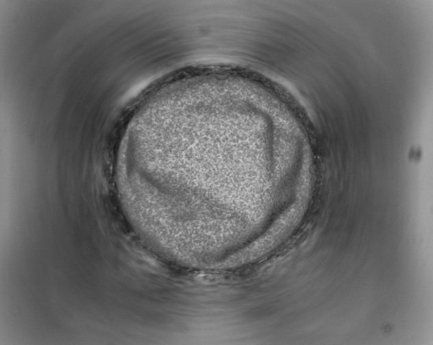 X0000100950871200807221118