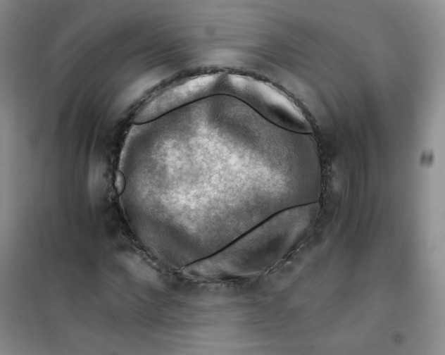 X0000100950872200807221118