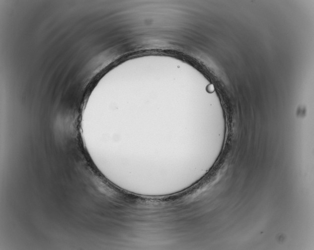 X0000100950873200807221118