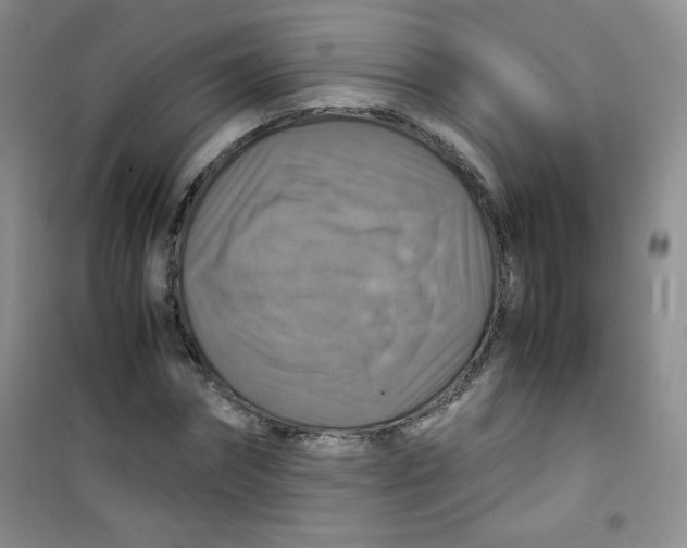 X0000100950874200807221118