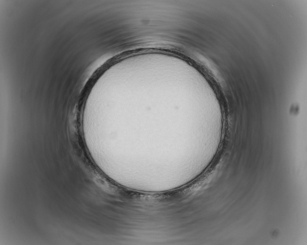 X0000100950875200807221118