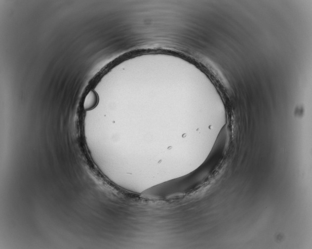 X0000100950876200807221118