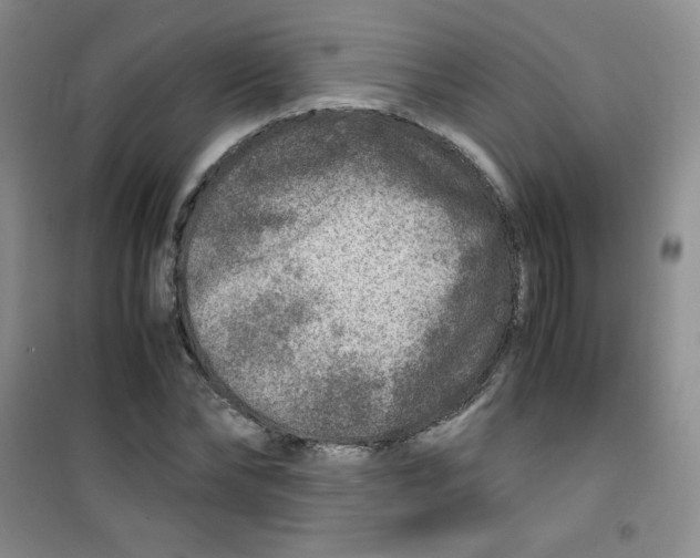 X0000100950878200807221118