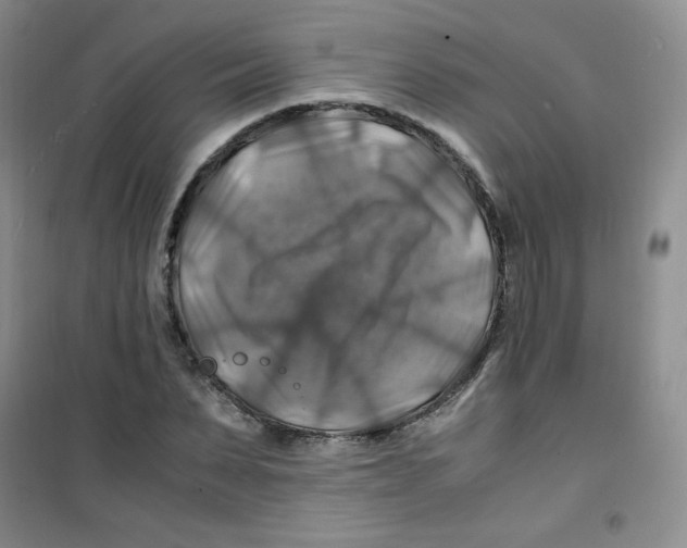 X0000100950879200807221118