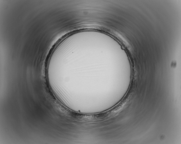 X0000100950883200807221118