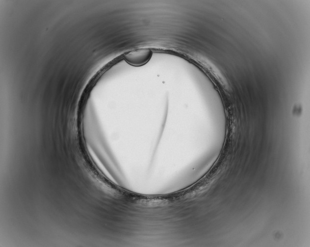 X0000100950884200807221118