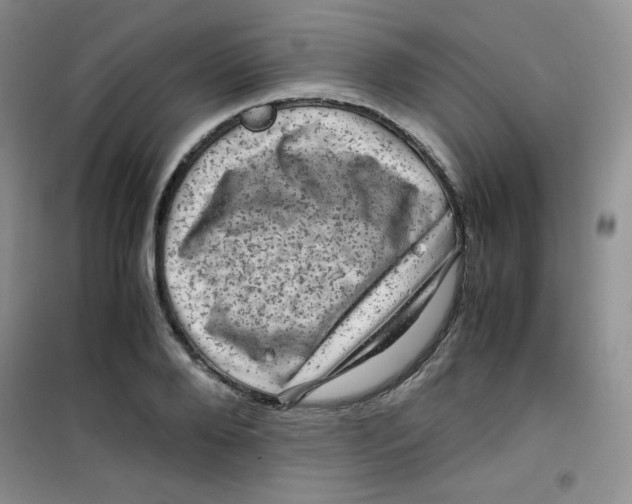 X0000100950888200807221118