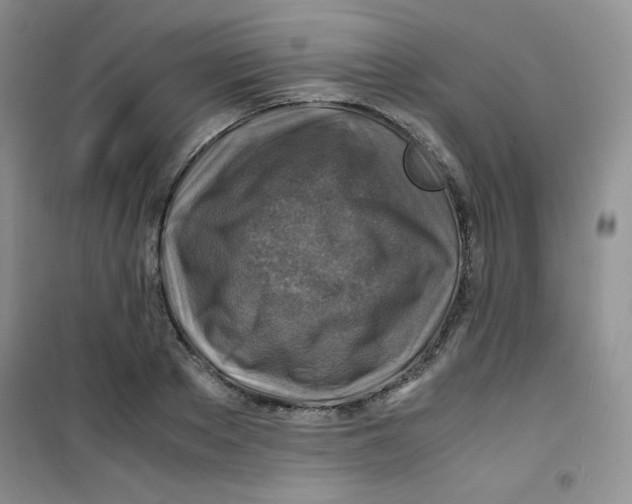 X0000100950889200807221118