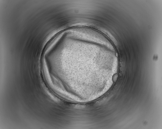 X0000100950890200807221118