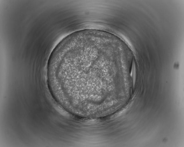 X0000100950891200807221118