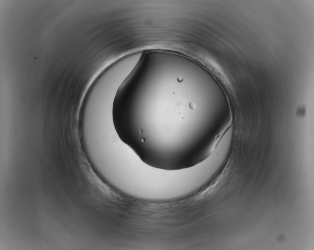 X0000100950892200807221118