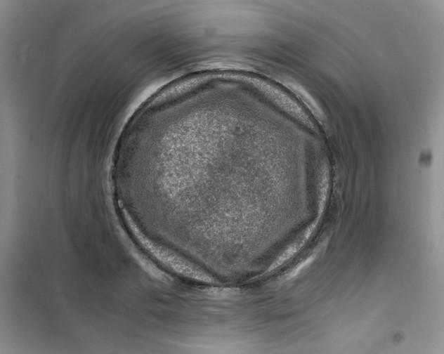 X0000100950893200807221118