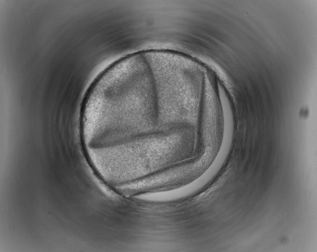 X0000100950894200807221118