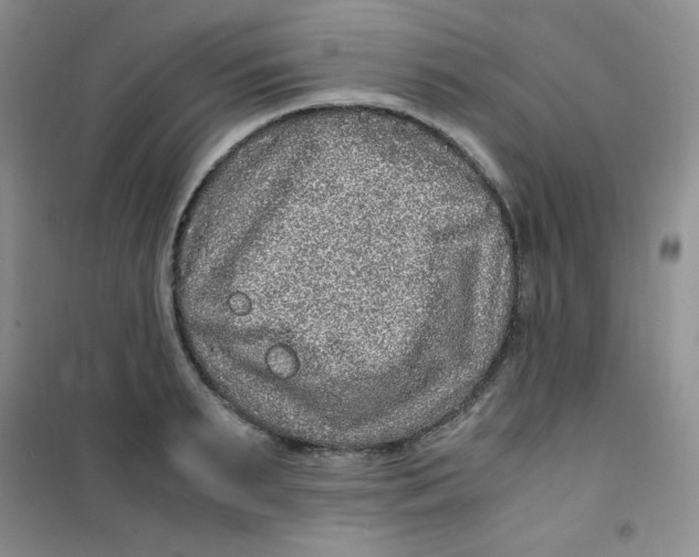 X0000100950895200807221118