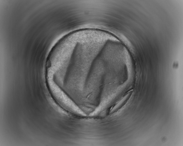 X0000100950896200807221118