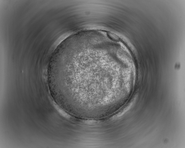 X0000100950897200807221118