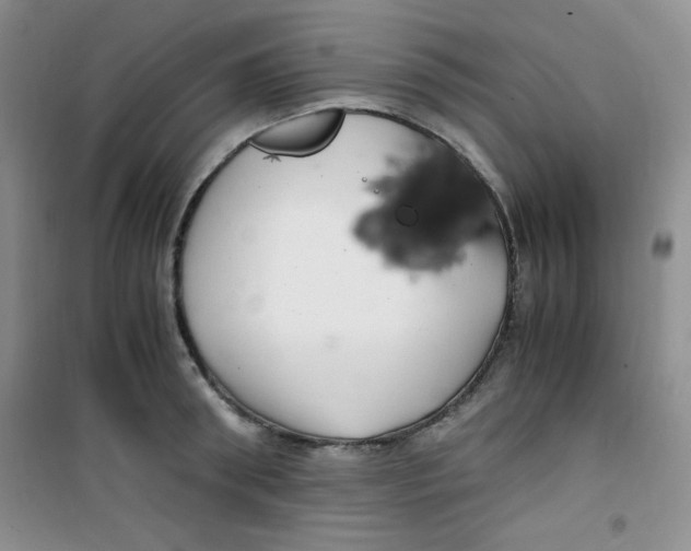 X0000100950898200807221118