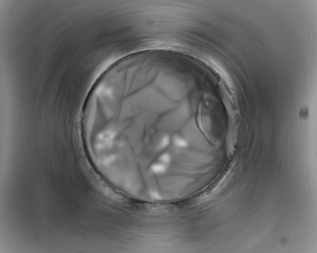 X0000100950899200807221118