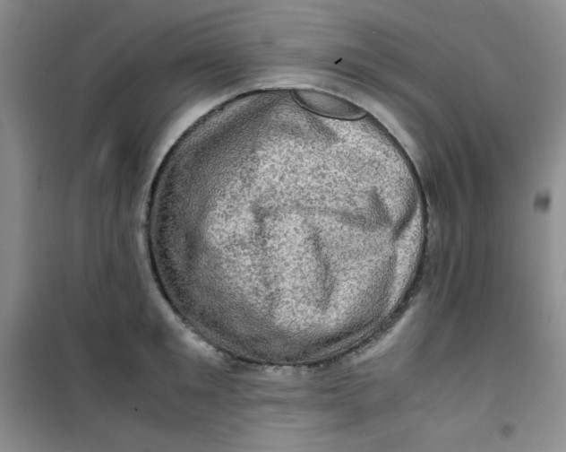 X0000100950901200807221118