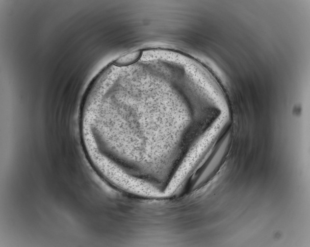 X0000100950902200807221118