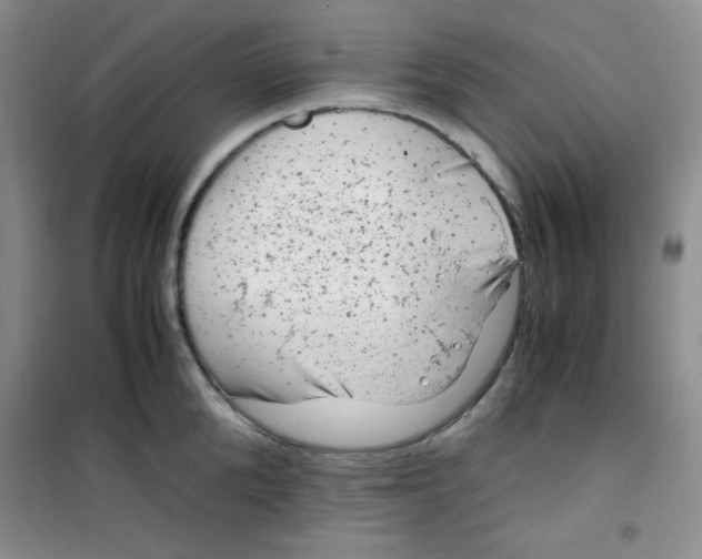 X0000100950904200807221118