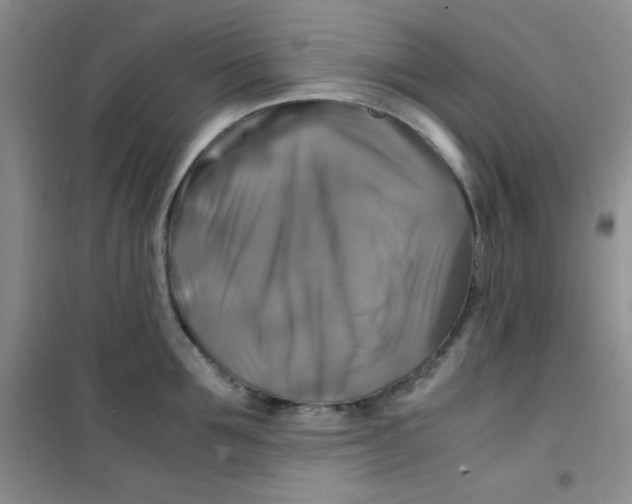 X0000100950907200807221118