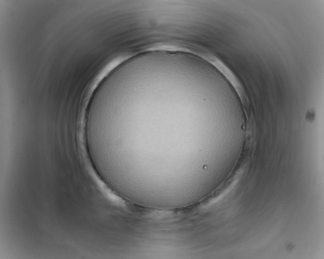 X0000100950909200807221118