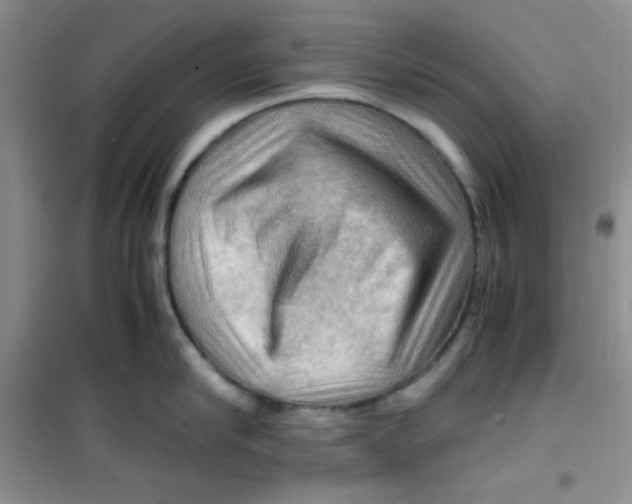 X0000100950910200807221118