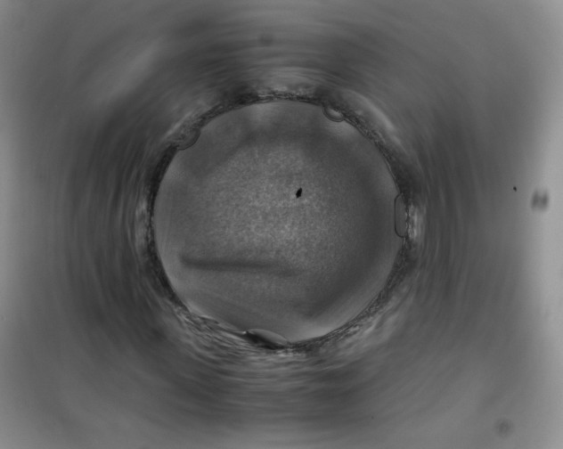 X0000100950915200807221117