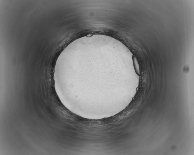 X0000100950916200807221117