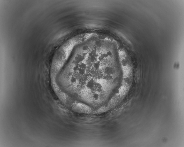 X0000100950917200807221117