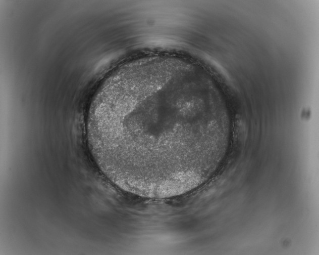 X0000100950918200807221117