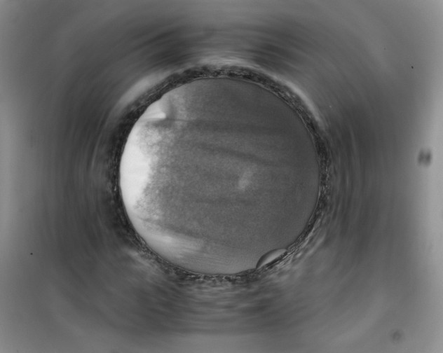 X0000100950919200807221117