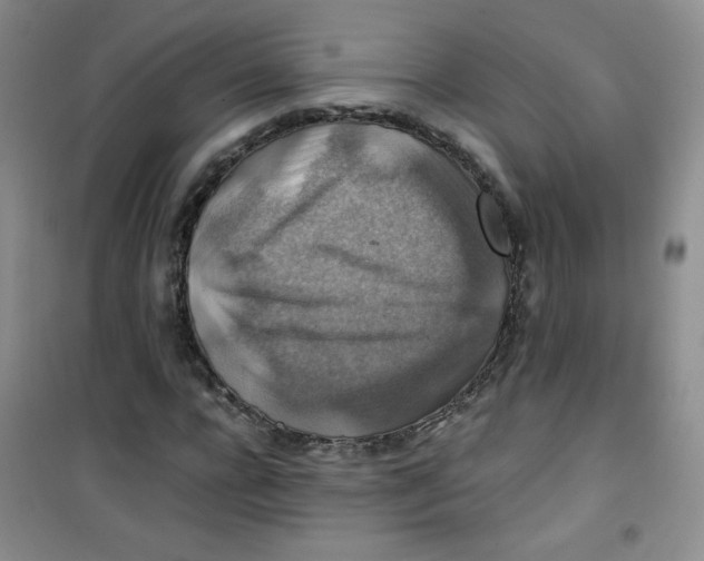 X0000100950920200807221117