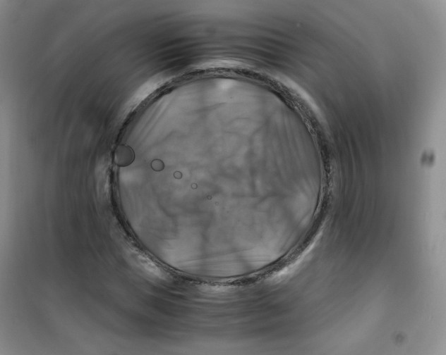 X0000100950921200807221117