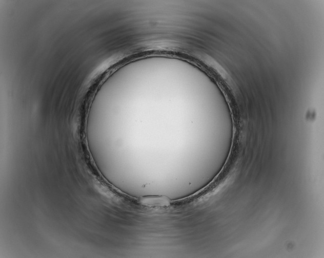 X0000100950922200807221117